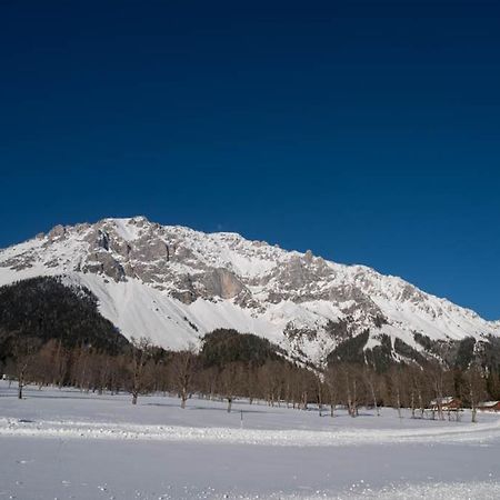 Adlernest Apartamento Ramsau am Dachstein Exterior foto