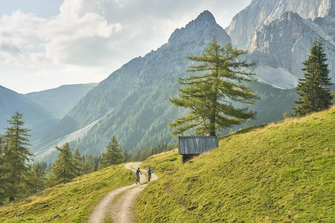 Adlernest Apartamento Ramsau am Dachstein Exterior foto